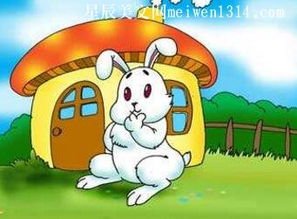 故事《聪明的小白兔》_故事聪明的小白兔教案